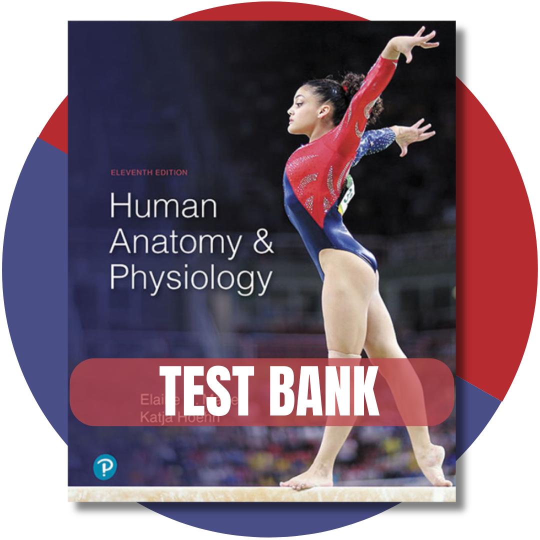 Test bank – Human Anatomy & Physiology 11th Edition By (Marieb, 2019)-Exam Guide Bank